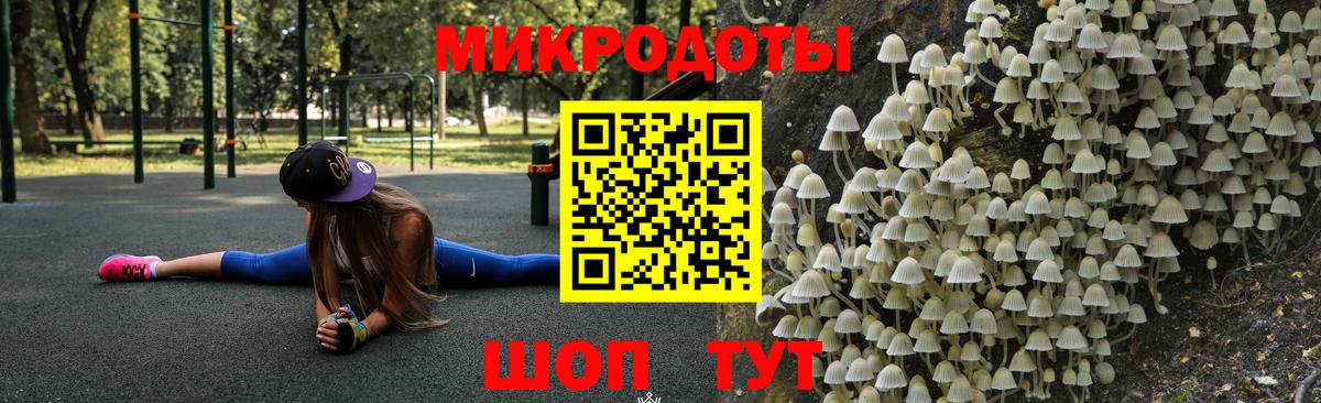 Димитровград  Псилоцибиновые грибы ЛСД  Вход с VPN 