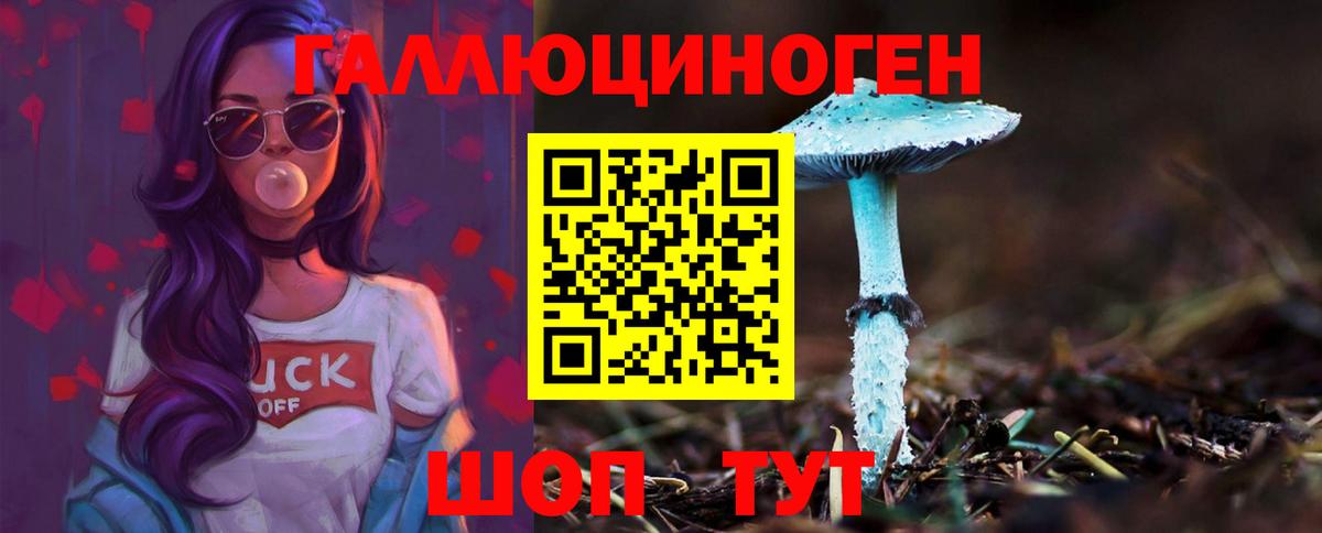 Галлюциногенные грибы прущие грибы Димитровград